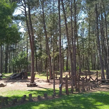 O Enxidro Playa, A 40 M De Playa Jardin Apartamento