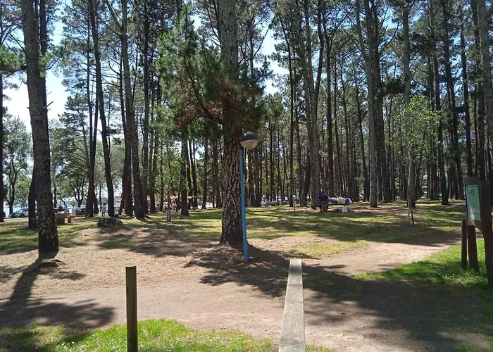 Lägenhet O Enxidro Playa, A 40 M De Playa Jardin