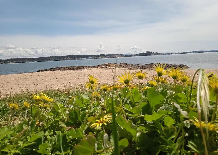 O Enxidro Playa, A 40 M De Playa Jardin * Boiro